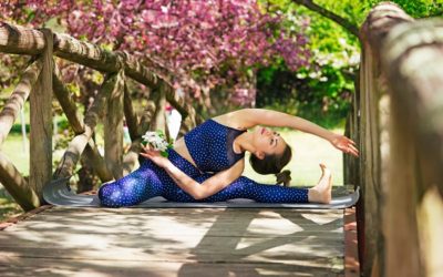 I’d Love To But ..