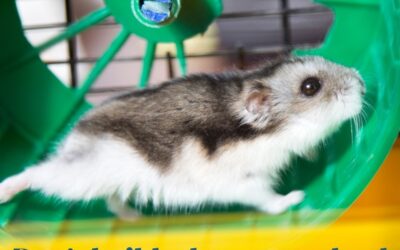 Don’t Build a Hamster Wheel!